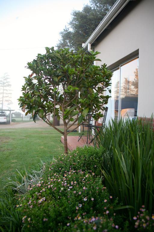 Sneezewood Farm Bed&Breakfast And Self-Catering Cottage 丹地 外观 照片
