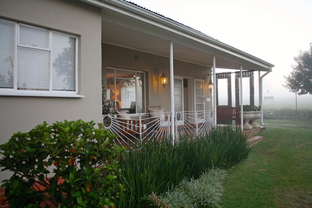 Sneezewood Farm Bed&Breakfast And Self-Catering Cottage 丹地 外观 照片