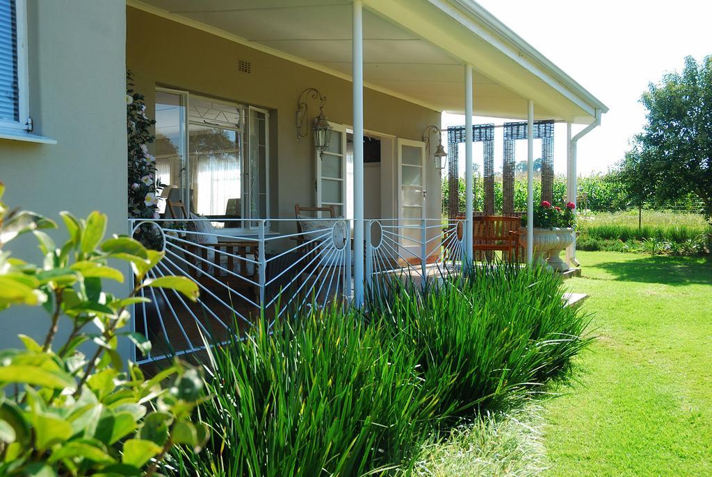 Sneezewood Farm Bed&Breakfast And Self-Catering Cottage 丹地 外观 照片